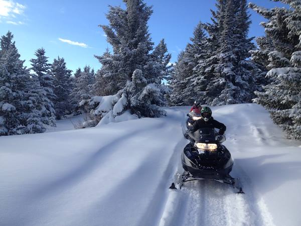 Paws Up snowmobiling